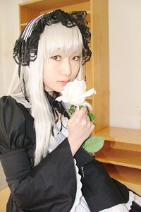 Rating: Safe Score: 0 Tags: 1girl bangs black_dress closed_mouth cosplay_photo dress flower frills gothic_lolita hairband holding lips lolita_fashion long_hair long_sleeves looking_at_viewer photo photo_(medium) rozen_maiden sitting solo suigintou white_hair User: admin