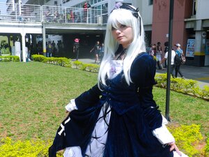 Rating: Safe Score: 0 Tags: 3d dress flower long_hair long_sleeves multiple_girls photo solo suigintou User: admin