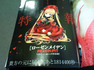 Rating: Safe Score: 0 Tags: 1girl blonde_hair blue_eyes blurry bonnet dress flower image long_hair long_sleeves petals photo red_dress rose shinku sitting solo twintails very_long_hair User: admin