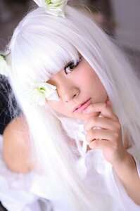Rating: Safe Score: 0 Tags: 1girl animal_ears bangs blunt_bangs blurry blurry_foreground closed_mouth depth_of_field flower kirakishou lips looking_at_viewer nose photo solo white_flower white_hair yellow_eyes User: admin