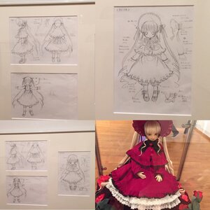 Rating: Safe Score: 0 Tags: bonnet doll dress flower frills hat long_hair long_sleeves shinku sitting solo standing very_long_hair User: admin