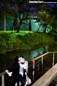 Rating: Safe Score: 0 Tags: 1girl black_dress closed_eyes dress flower long_hair solo standing suigintou tree white_hair User: admin