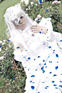 Rating: Safe Score: 0 Tags: 1girl blue_flower blue_rose dress flower kirakishou petals rose rose_petals solo veil wedding_dress white_dress white_flower white_hair white_rose User: admin