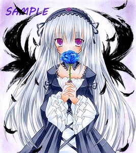 Rating: Safe Score: 0 Tags: 1girl bird black_feathers black_wings blue_flower dress feathered_wings feathers flower frills gothic_lolita hairband image lolita_fashion lolita_hairband long_hair long_sleeves looking_at_viewer marker_(medium) purple_eyes rose silver_hair solo suigintou traditional_media white_feathers wings User: admin