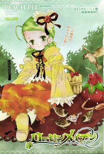 Rating: Safe Score: 0 Tags: 1girl bird blush dress flower green_eyes green_hair hat image kanaria long_sleeves ribbon solo User: admin