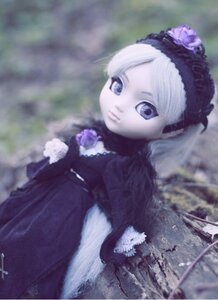 Rating: Safe Score: 0 Tags: 1girl blue_eyes blurry blurry_background blurry_foreground closed_mouth depth_of_field doll dress flower frills fur_trim gothic_lolita hairband lolita_hairband long_sleeves looking_at_viewer outdoors purple_flower purple_rose rose solo suigintou white_flower white_hair white_rose User: admin