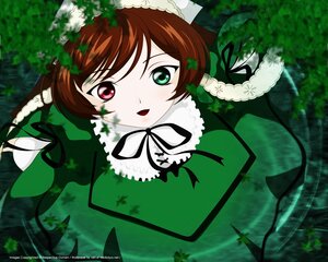 Rating: Safe Score: 0 Tags: 1girl brown_hair dress grass green_eyes heterochromia image long_hair long_sleeves looking_at_viewer nature open_mouth outdoors plant red_eyes ribbon solo suiseiseki water User: admin