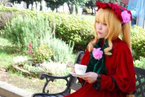 Rating: Safe Score: 0 Tags: 1girl blonde_hair blurry closed_eyes cup depth_of_field dress flower garden long_hair long_sleeves red_dress rose saucer shinku sitting solo table teacup User: admin