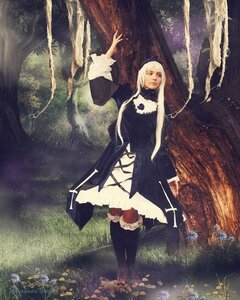 Rating: Safe Score: 0 Tags: 1girl apple flower forest grass long_hair nature outdoors solo standing suigintou tree weapon white_hair User: admin