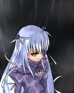 Rating: Safe Score: 0 Tags: 1girl barasuishou black_ribbon dress flower hair_ornament hair_ribbon image juliet_sleeves long_hair long_sleeves puffy_sleeves rain ribbon rose silver_hair solo upper_body very_long_hair yellow_eyes User: admin