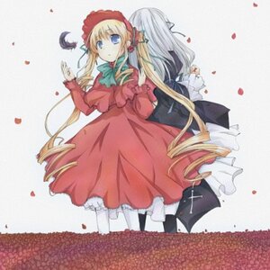 Rating: Safe Score: 0 Tags: 2girls blonde_hair blue_eyes bonnet bow bowtie dress flower hat image long_hair long_sleeves multiple_girls pair pantyhose petals red_dress rose_petals shinku silver_hair standing suigintou very_long_hair white_legwear User: admin