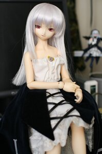 Rating: Safe Score: 0 Tags: 1girl albino bangs bare_shoulders blurry blurry_background blurry_foreground depth_of_field doll dress long_hair looking_at_viewer multiple_girls red_eyes skirt solo standing suigintou white_dress white_hair User: admin