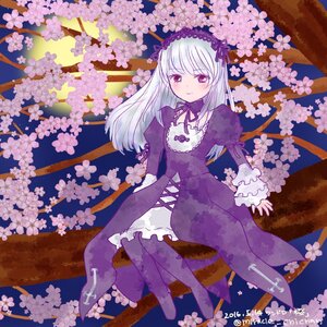 Rating: Safe Score: 0 Tags: 1girl boots cherry_blossoms dress flower frills hairband image in_tree long_hair long_sleeves pink_eyes ribbon silver_hair sitting sitting_in_tree smile solo suigintou tree white_hair User: admin