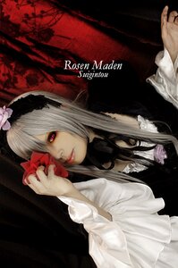 Rating: Safe Score: 0 Tags: 1girl dress flower frills gothic_lolita holding lolita_fashion long_hair red_eyes solo suigintou User: admin