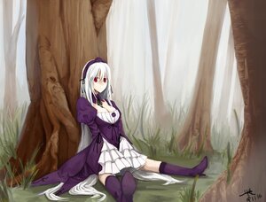 Rating: Safe Score: 0 Tags: 1girl boots breasts cleavage dress frills grass hairband image long_hair long_sleeves medium_breasts puffy_sleeves purple_dress purple_flower purple_footwear purple_legwear red_eyes silver_hair sitting solo suigintou thighhighs very_long_hair white_hair User: admin