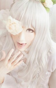 Rating: Safe Score: 0 Tags: 1girl flower kirakishou lips long_hair solo tongue white_flower white_rose User: admin