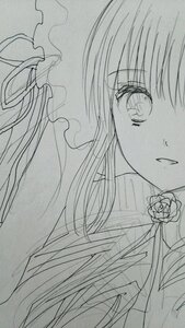 Rating: Safe Score: 0 Tags: 1girl flower image long_hair looking_at_viewer monochrome rose shinku simple_background solo traditional_media User: admin