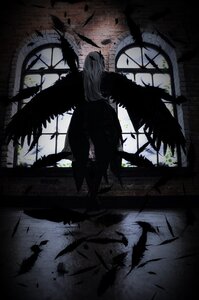 Rating: Safe Score: 0 Tags: 1girl angel_wings bird black_feathers black_wings crow dark feathered_wings feathers long_hair monochrome silhouette solo standing suigintou wings User: admin