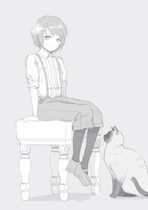 Rating: Safe Score: 0 Tags: 1girl animal cat image looking_at_viewer monochrome shiroinu shirt short_hair short_sleeves shorts sitting socks solo souseiseki striped suspenders vertical_stripes User: admin