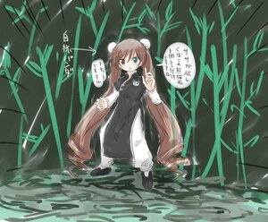 Rating: Safe Score: 0 Tags: 1girl bamboo bamboo_forest black_dress black_footwear brown_hair bun_cover chinese_clothes double_bun dress eyebrows_visible_through_hair green_eyes heterochromia image long_hair long_sleeves plant red_eyes solo standing suiseiseki very_long_hair User: admin