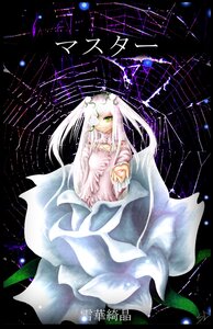 Rating: Safe Score: 0 Tags: 1girl dress full_body green_eyes image kirakishou long_hair solo white_dress white_hair User: admin