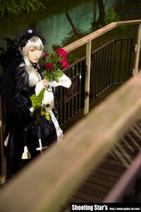 Rating: Safe Score: 0 Tags: 1girl blurry depth_of_field dress flower frills long_hair long_sleeves looking_at_viewer rose solo suigintou white_hair User: admin