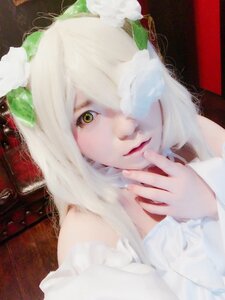 Rating: Safe Score: 0 Tags: 1girl closed_mouth face flower hair_over_one_eye kirakishou leaf lips looking_at_viewer solo upper_body white_flower white_hair User: admin