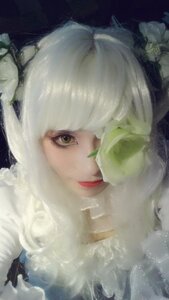 Rating: Safe Score: 0 Tags: 1girl flower kirakishou lips long_hair looking_at_viewer makeup solo white_hair User: admin
