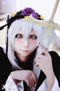 Rating: Safe Score: 0 Tags: 1girl animal_on_head bird_on_head blurry blurry_background blurry_foreground closed_mouth depth_of_field hair_between_eyes looking_at_viewer mole on_head solo suigintou white_hair User: admin