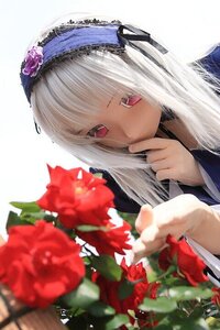 Rating: Safe Score: 0 Tags: 1girl bangs blurry covering_mouth depth_of_field flower hairband long_hair long_sleeves looking_at_viewer red_eyes red_flower red_rose ribbon rose solo suigintou white_background User: admin
