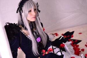 Rating: Safe Score: 0 Tags: 1girl black_dress blurry closed_mouth dress flower frills hairband lips long_hair long_sleeves petals rose silver_hair solo suigintou User: admin