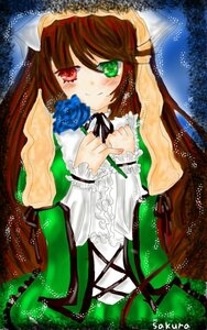 Rating: Safe Score: 0 Tags: 1girl blue_flower blush brown_hair dress flower frills green_dress green_eyes heterochromia image long_hair long_sleeves red_eyes ribbon rose smile solo suiseiseki very_long_hair User: admin