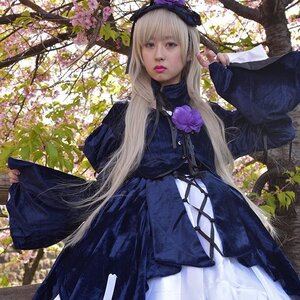 Rating: Safe Score: 0 Tags: 1girl bangs black_dress blonde_hair dress flower lips long_hair long_sleeves looking_at_viewer outdoors realistic solo suigintou traditional_media tree User: admin