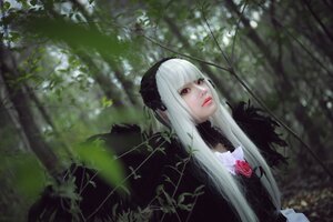 Rating: Safe Score: 0 Tags: 1girl bangs blurry closed_mouth dress flower gothic_lolita hairband lips lolita_fashion long_hair looking_at_viewer plant red_eyes solo suigintou upper_body white_hair User: admin