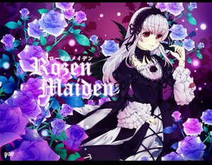 Rating: Safe Score: 0 Tags: 1girl black_flower black_rose blue_flower blue_rose dress flower frills gothic_lolita hairband image letterboxed lolita_fashion long_hair pink_flower pink_rose purple_flower purple_rose red_eyes rose silver_hair smile solo suigintou white_rose wings User: admin