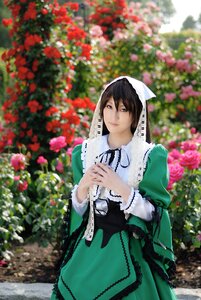 Rating: Safe Score: 0 Tags: 1girl blurry brown_hair depth_of_field dress flower garden green_dress green_eyes lips long_sleeves looking_at_viewer outdoors red_flower solo standing suiseiseki User: admin