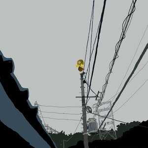 Rating: Safe Score: 0 Tags: image kanaria power_lines sky solo telephone_pole tree User: admin