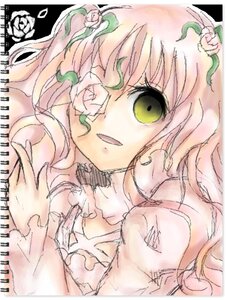 Rating: Safe Score: 0 Tags: 1girl flower green_eyes image kanroji_mitsuri kirakishou leaf long_hair looking_at_viewer multicolored_hair open_mouth pink_hair rose smile solo User: admin