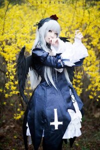 Rating: Safe Score: 0 Tags: 1girl bangs black_wings blue_dress dress feathered_wings flower frills long_hair long_sleeves silver_hair solo suigintou wings User: admin