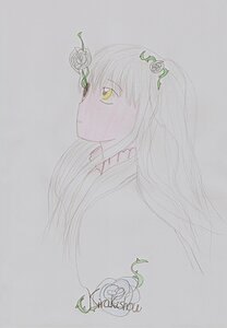 Rating: Safe Score: 0 Tags: 1girl bangs closed_mouth flower from_side grey_background hair_flower hair_ornament image kirakishou leaf long_hair plant profile rose simple_background solo thorns traditional_media upper_body vines yellow_eyes User: admin