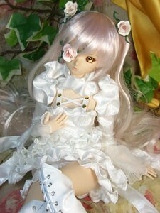 Rating: Safe Score: 0 Tags: 1girl bangs doll dress flower frills hair_flower hair_ornament kirakishou lace lips lolita_fashion long_hair rose sitting solo thighhighs very_long_hair white_dress white_flower white_hair white_legwear white_rose User: admin