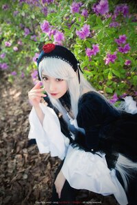 Rating: Safe Score: 0 Tags: 1girl bangs blurry blurry_background closed_mouth depth_of_field dress flower gothic_lolita hairband long_hair long_sleeves looking_at_viewer red_eyes solo suigintou watermark web_address white_hair User: admin