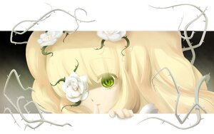 Rating: Safe Score: 0 Tags: 1girl blonde_hair face flower green_eyes image kirakishou lily_(flower) rose solo white_flower white_rose User: admin
