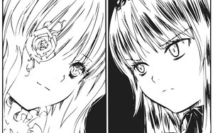 Rating: Safe Score: 0 Tags: 2girls bangs close-up closed_mouth eyebrows_visible_through_hair flower greyscale image kirakishou long_hair looking_at_viewer monochrome multiple_girls pair rose simple_background smile suigintou User: admin