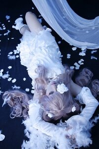 Rating: Safe Score: 0 Tags: 1girl dress flower kirakishou long_hair lying petals rose solo white_dress white_flower white_rose User: admin