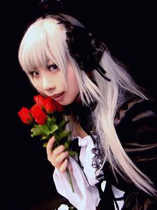 Rating: Safe Score: 0 Tags: 1girl bangs black_background closed_mouth flower holding holding_flower lips long_hair realistic red_flower solo suigintou upper_body white_hair User: admin