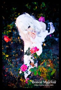 Rating: Safe Score: 0 Tags: 1girl flower kirakishou leaf letterboxed nail_polish rose solo white_hair User: admin