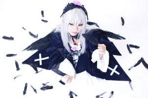 Rating: Safe Score: 0 Tags: 1girl bird bird_on_hand black_feathers black_wings crow dove dress feathered_wings feathers flower long_hair long_sleeves looking_at_viewer rose seagull silver_hair solo suigintou white_feathers wings User: admin