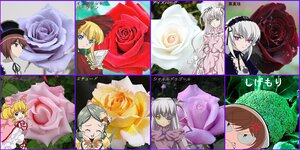 Rating: Safe Score: 0 Tags: 6+girls blonde_hair blue_eyes bonnet bow brown_hair closed_eyes dress flower hat hina_ichigo image kanaria long_hair multiple multiple_girls pink_bow rose shinku short_hair silver_hair souseiseki suigintou suiseiseki tagme top_hat twintails wings User: admin