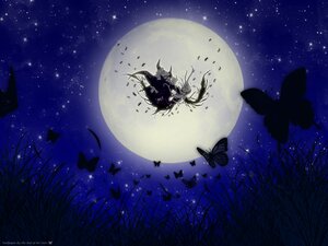 Rating: Safe Score: 0 Tags: 1girl auto_tagged blue_butterfly bug butterfly butterfly_hair_ornament full_moon image insect long_hair moon night night_sky outdoors sky solo star_(sky) starry_sky suigintou User: admin